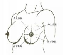 【实用知识】乳腺检查报告怎么看？这篇讲清楚了→