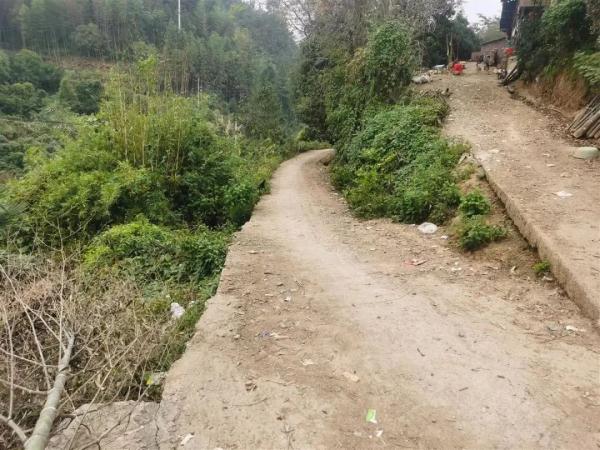 湖南遭狗咬伤男童已出ICU,肇事阿拉斯加犬被“处死”! 湖南遭狗咬伤男童已出ICU,肇事阿拉斯加犬被“处死”!