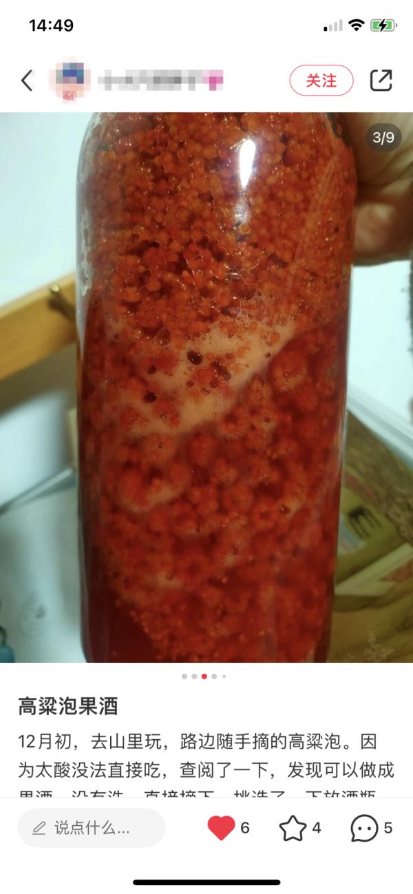 浙江女子晒出神秘果子!网友:花钱都买不到! 浙江女子晒出神秘果子!网友:花钱都买不到!