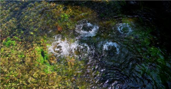 山西首个！洪洞霍泉入选“世界灌溉工程遗产”名录