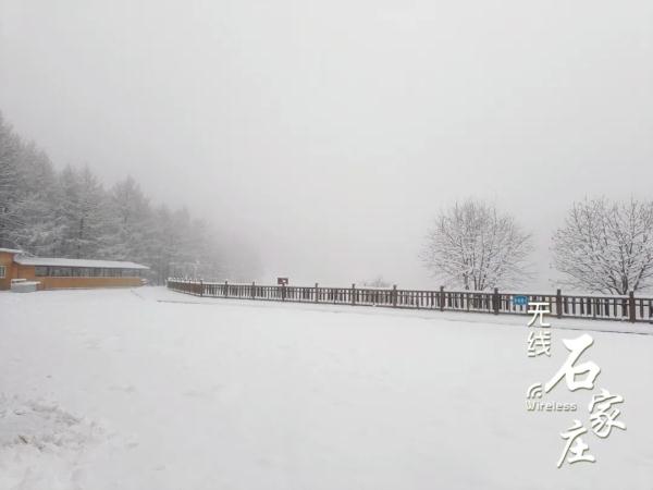 一夜入“冬”，石家庄这里下雪啦！