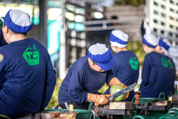 泰国椰香飘入进博会