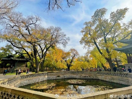 深秋时节,来晋祠邂逅“醉”美秋色 深秋时节,来晋祠邂逅“醉”美秋色