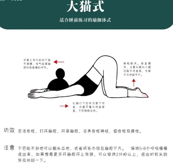 猫咪养生法，女性朋友们知道吗？