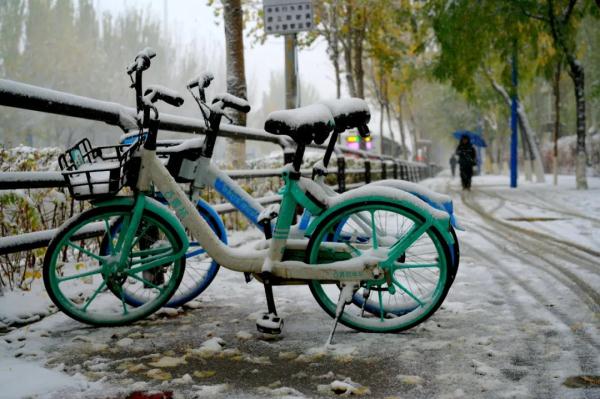 刚刚！沈阳发布暴雪橙色预警！一景区暂停营业！今天下午……