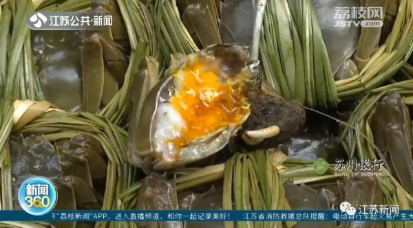 膏满黄肥，最低10元一只！螃蟹价格大“跳水”！