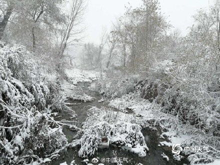 雪国风光！ 辽宁铁岭雪中世界宛如水墨画卷