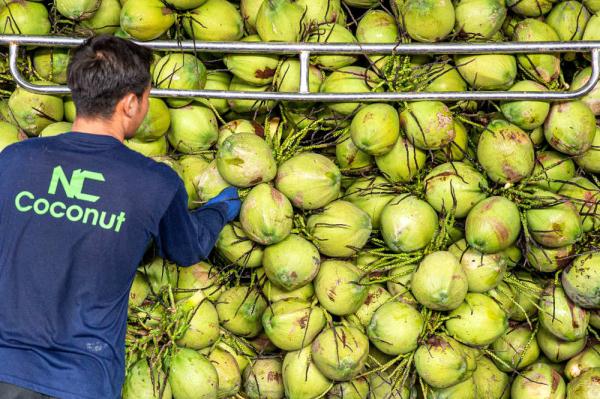 泰国椰香飘入进博会