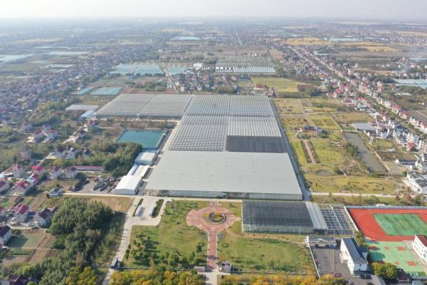 这座远郊小镇，铺就 “花样”致富路