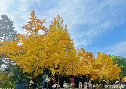 深秋时节,来晋祠邂逅“醉”美秋色 深秋时节,来晋祠邂逅“醉”美秋色