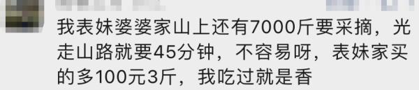 “大跳水”！200元一斤，暴跌到35元，网友：买买买！