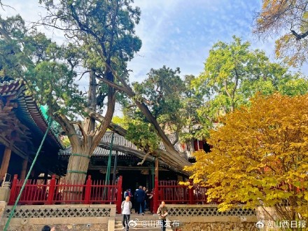 深秋时节,来晋祠邂逅“醉”美秋色 深秋时节,来晋祠邂逅“醉”美秋色