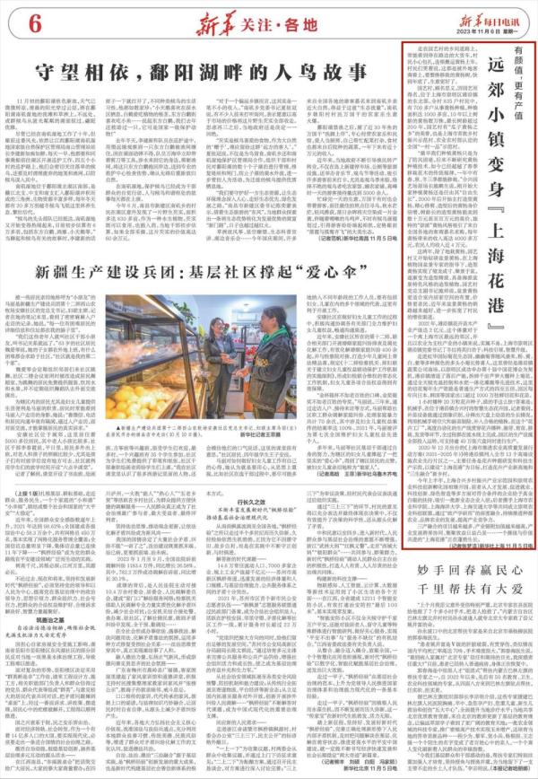 这座远郊小镇，铺就 “花样”致富路