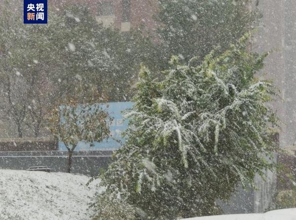辽宁沈阳发布低温雨雪冰冻灾害三级预警 大连港客运因大风停航