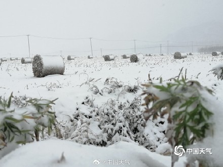 雪国风光！ 辽宁铁岭雪中世界宛如水墨画卷