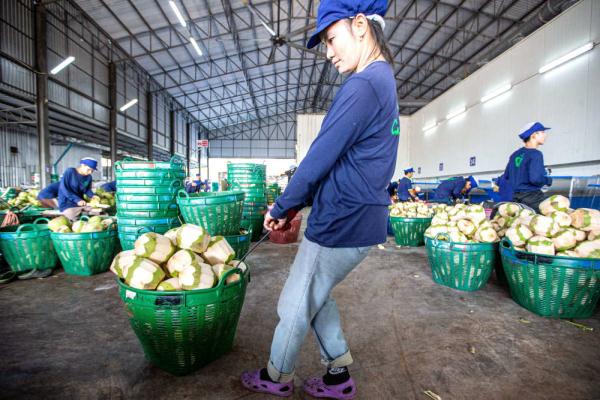 泰国椰香飘入进博会