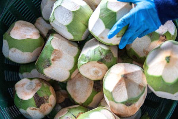 泰国椰香飘入进博会