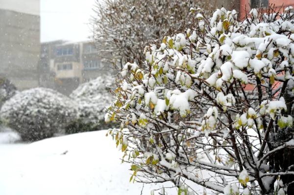 刚刚！沈阳发布暴雪橙色预警！一景区暂停营业！今天下午……