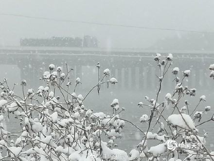 雪国风光！ 辽宁铁岭雪中世界宛如水墨画卷