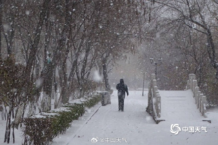 暴风雪已至！东北进入最强降雪时段 一图看懂我国哪里暴风雪高发