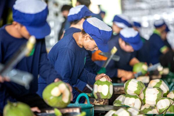 泰国椰香飘入进博会