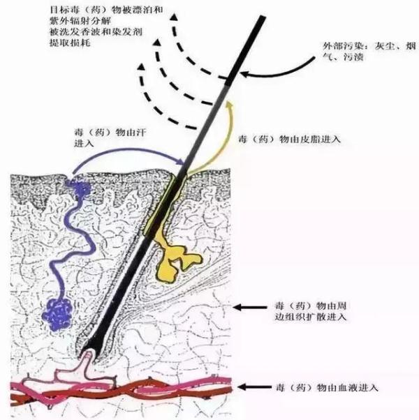 韩国知名男星，承认吸毒！吸食经过曝光