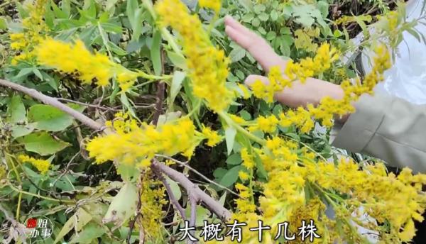 紧急提醒！发现请立即上报