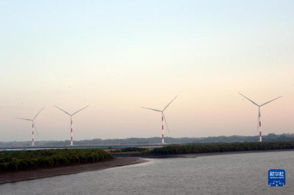 中企投资承建的孟加拉国首个集中式风电项目掠影