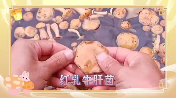 秋天多吃一条腿,做法简单人人爱! 秋天多吃一条腿,做法简单人人爱!
