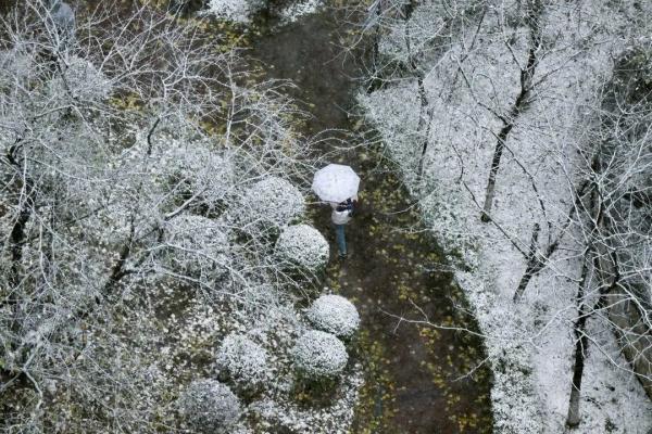 最新！辽宁：雨雪今天暂停，明天部分地区继续下