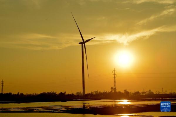 中企投资承建的孟加拉国首个集中式风电项目掠影