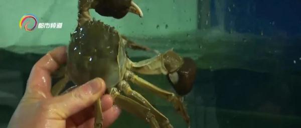 太畅销,每天要卖几千只!目前正是最佳赏味期……你吃了吗? 太畅销,每天要卖几千只!目前正是最佳赏味期……你吃了吗?