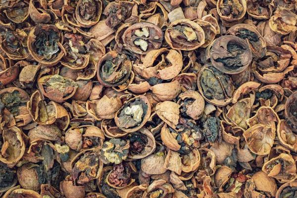 核桃、花生、开心果…每天吃几个最好?坚果各有“最佳食用量”! 核桃、花生、开心果…每天吃几个最好?坚果各有“最佳食用量”!