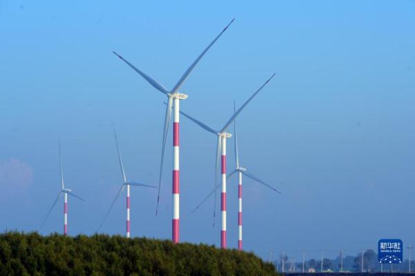 中企投资承建的孟加拉国首个集中式风电项目掠影