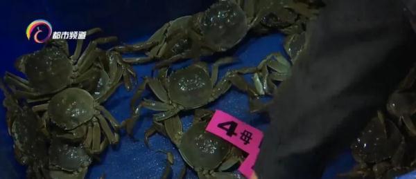 太畅销,每天要卖几千只!目前正是最佳赏味期……你吃了吗? 太畅销,每天要卖几千只!目前正是最佳赏味期……你吃了吗?