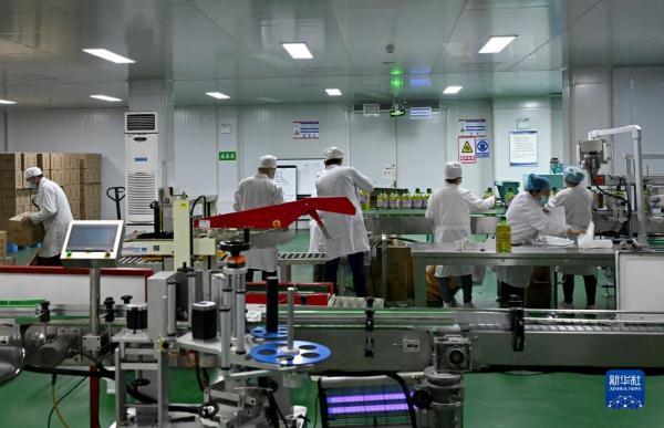 新疆阿拉山口口岸见闻 新疆阿拉山口口岸见闻