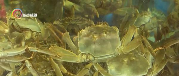 太畅销,每天要卖几千只!目前正是最佳赏味期……你吃了吗? 太畅销,每天要卖几千只!目前正是最佳赏味期……你吃了吗?