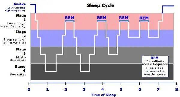 和爱的人睡在一起是“大补”,有科学依据吗? 和爱的人睡在一起是“大补”,有科学依据吗?