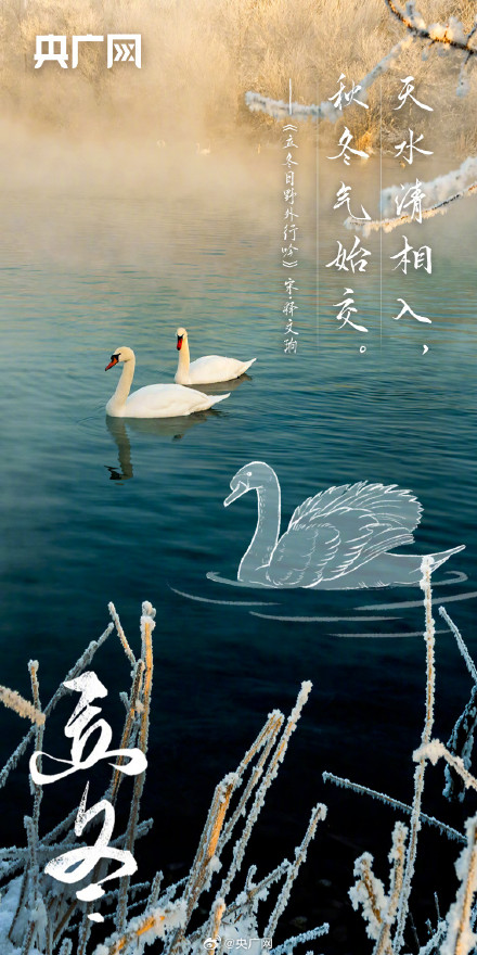 今日立冬！你准备好迎接冬天了吗