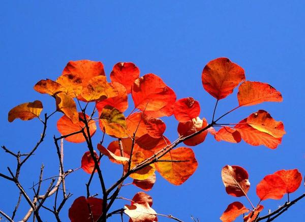 今日立冬，愿快乐与你我环环相扣