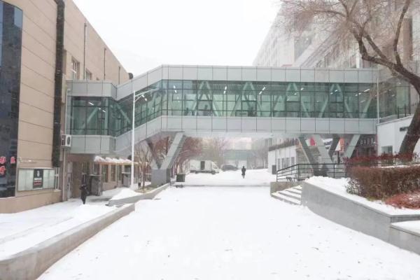 火了!大雪天冰城这所高校学生穿着单衣去上课!那比暖气更“霸道”的是…… 火了!大雪天冰城这所高校学生穿着单衣去上课!那比暖气更“霸道”的是……