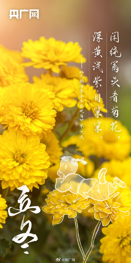 今日立冬！你准备好迎接冬天了吗