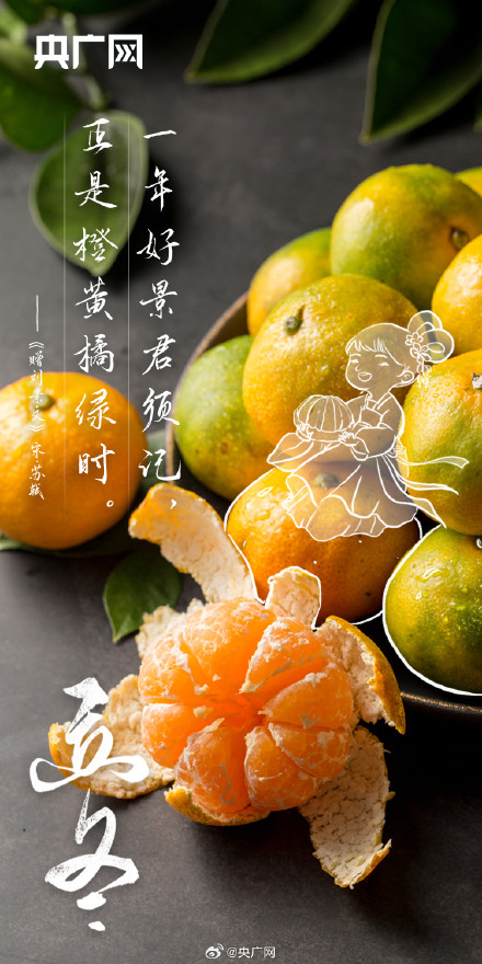 今日立冬！你准备好迎接冬天了吗