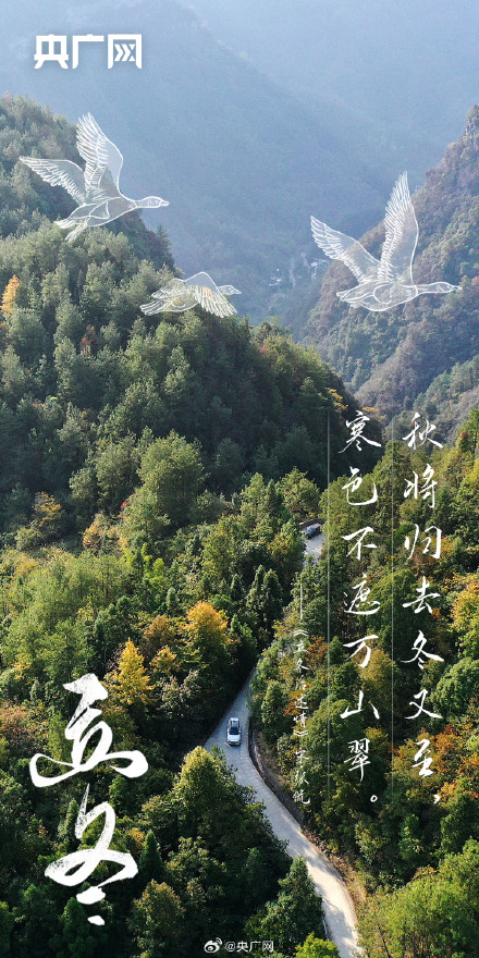 今日立冬！你准备好迎接冬天了吗