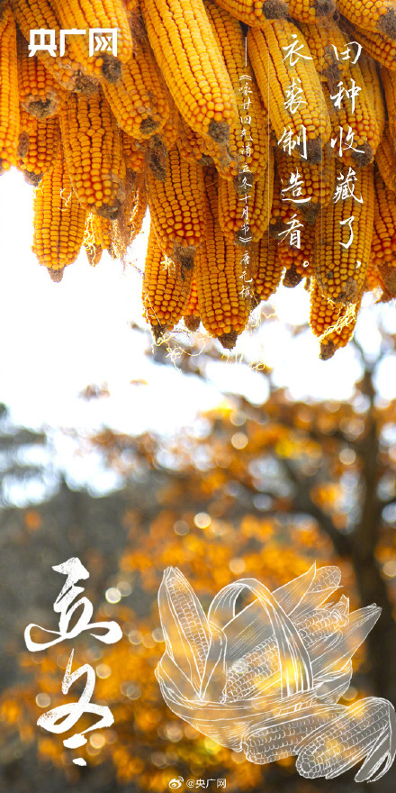 今日立冬！你准备好迎接冬天了吗