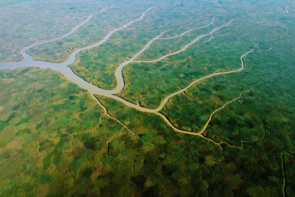 【提示】九段沙湿地入选国家重要湿地名录