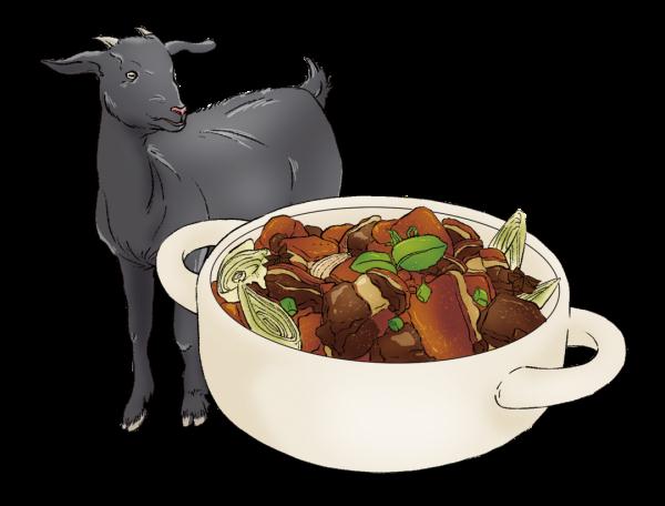 “秋补冬藏”，储存能量好过冬！