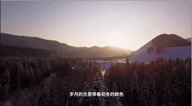 节令之美·立冬丨作别深秋，拥抱冬阳