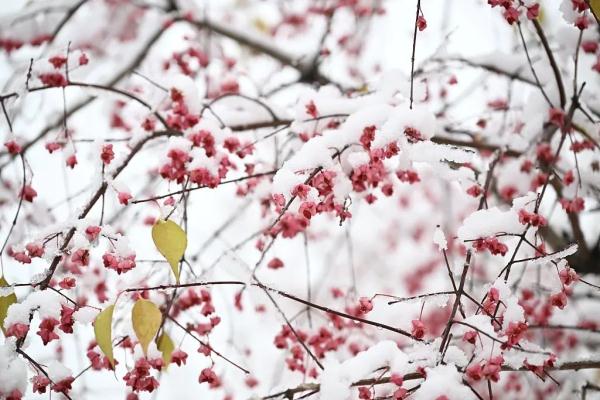 今日立冬，愿快乐与你我环环相扣