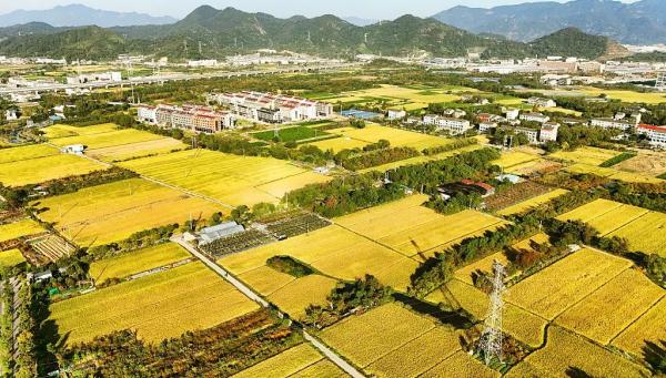 今日立冬，愿快乐与你我环环相扣